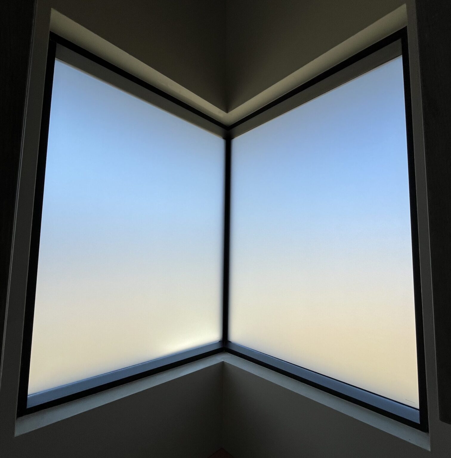 frosted garage window for privacy