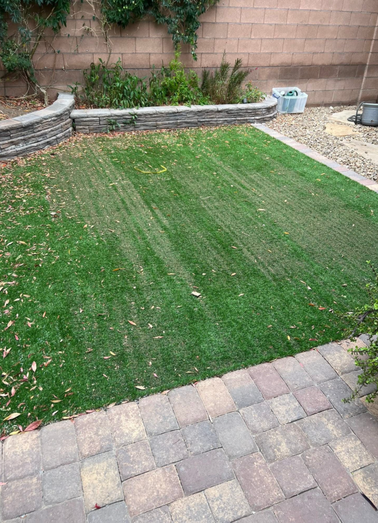 Turf burn from the sun